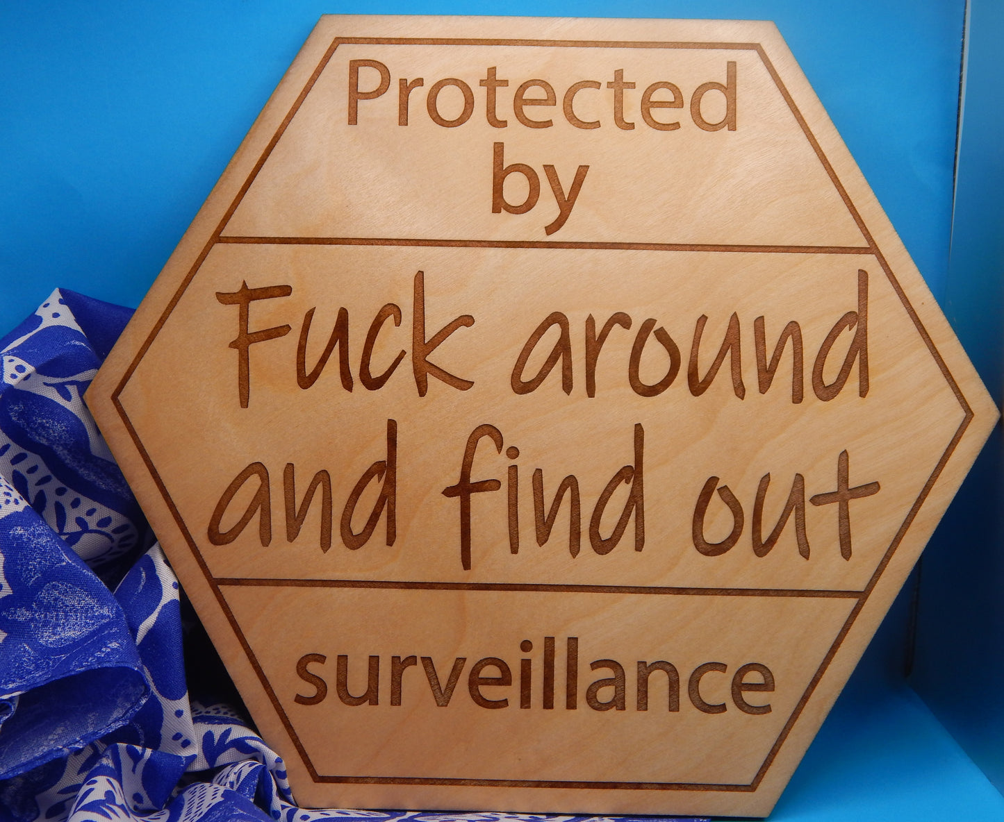Surveillance Sign - F Around And Find Out