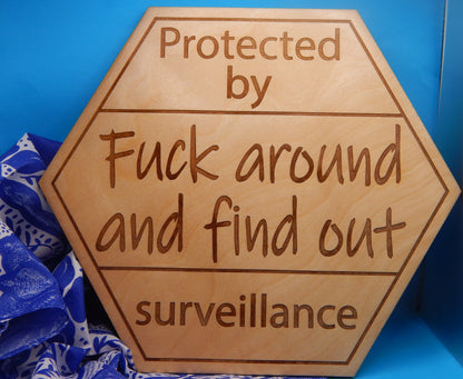 Surveillance Sign - F Around And Find Out