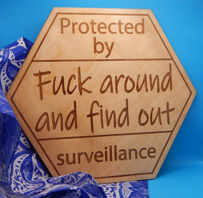 Surveillance Sign - F Around And Find Out